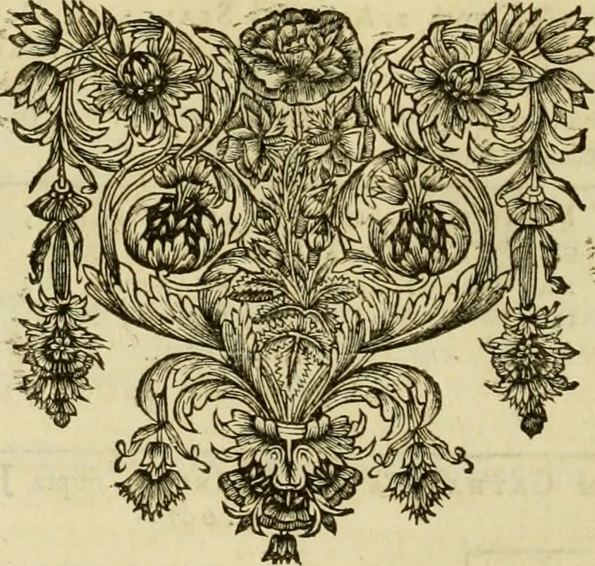 An illustration from Historia Byzantina duplici commentario illustrata : prior, Familias ac stemmata imperatorum constantinopolianorum, cum eorundem augustorum nomismatibus, & aliquot iconibus : praeterea familias dalmaticas & turcicas complecticur : alter, Descriptionem urbis constantinopolitanae, qualis extitit sub imperatoribus christianis, 1680, leaf 369