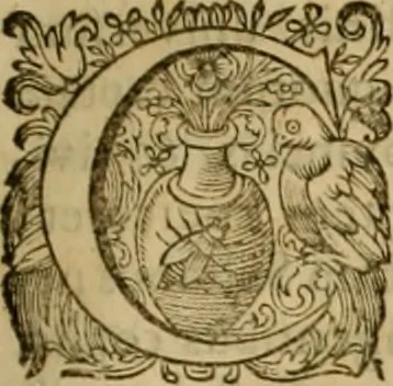 An illustration from Historia Byzantina duplici commentario illustrata : prior, Familias ac stemmata imperatorum constantinopolianorum, cum eorundem augustorum nomismatibus, & aliquot iconibus : praeterea familias dalmaticas & turcicas complecticur : alter, Descriptionem urbis constantinopolitanae, qualis extitit sub imperatoribus christianis, 1680, leaf 370