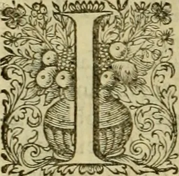 An illustration from Historia Byzantina duplici commentario illustrata : prior, Familias ac stemmata imperatorum constantinopolianorum, cum eorundem augustorum nomismatibus, & aliquot iconibus : praeterea familias dalmaticas & turcicas complecticur : alter, Descriptionem urbis constantinopolitanae, qualis extitit sub imperatoribus christianis, 1680, leaf 371