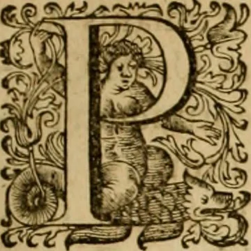 An illustration from Historia Byzantina duplici commentario illustrata : prior, Familias ac stemmata imperatorum constantinopolianorum, cum eorundem augustorum nomismatibus, & aliquot iconibus : praeterea familias dalmaticas & turcicas complecticur : alter, Descriptionem urbis constantinopolitanae, qualis extitit sub imperatoribus christianis, 1680, leaf 404