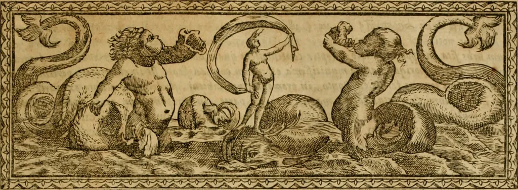 An illustration from Historia Byzantina duplici commentario illustrata : prior, Familias ac stemmata imperatorum constantinopolianorum, cum eorundem augustorum nomismatibus, & aliquot iconibus : praeterea familias dalmaticas & turcicas complecticur : alter, Descriptionem urbis constantinopolitanae, qualis extitit sub imperatoribus christianis, 1680, leaf 414