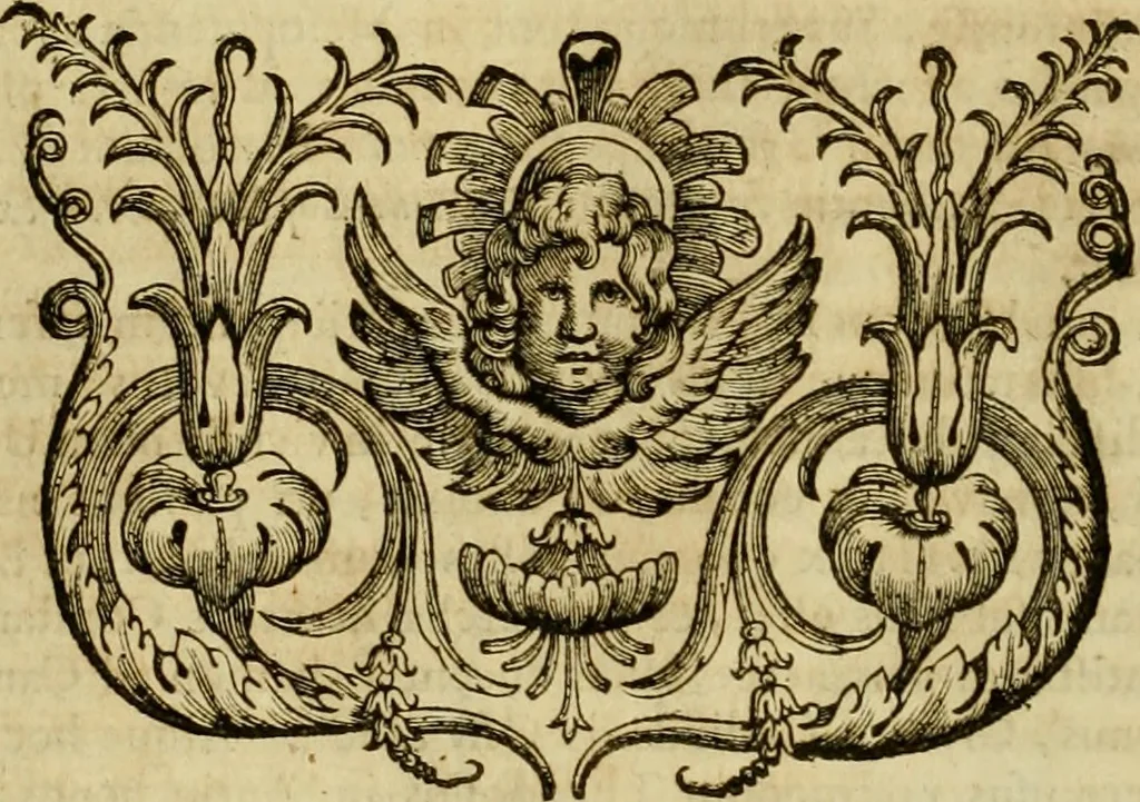 An illustration from Historia Byzantina duplici commentario illustrata : prior, Familias ac stemmata imperatorum constantinopolianorum, cum eorundem augustorum nomismatibus, & aliquot iconibus : praeterea familias dalmaticas & turcicas complecticur : alter, Descriptionem urbis constantinopolitanae, qualis extitit sub imperatoribus christianis, 1680, leaf 435