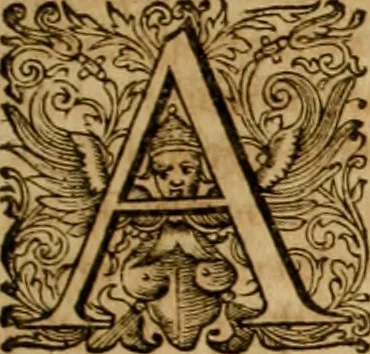 An illustration from Historia Byzantina duplici commentario illustrata : prior, Familias ac stemmata imperatorum constantinopolianorum, cum eorundem augustorum nomismatibus, & aliquot iconibus : praeterea familias dalmaticas & turcicas complecticur : alter, Descriptionem urbis constantinopolitanae, qualis extitit sub imperatoribus christianis, 1680, leaf 436