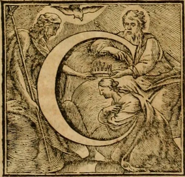 An illustration from Historia Byzantina duplici commentario illustrata : prior, Familias ac stemmata imperatorum constantinopolianorum, cum eorundem augustorum nomismatibus, & aliquot iconibus : praeterea familias dalmaticas & turcicas complecticur : alter, Descriptionem urbis constantinopolitanae, qualis extitit sub imperatoribus christianis, 1680, leaf 600
