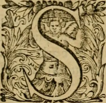 An illustration from Historia Byzantina duplici commentario illustrata : prior, Familias ac stemmata imperatorum constantinopolianorum, cum eorundem augustorum nomismatibus, & aliquot iconibus : praeterea familias dalmaticas & turcicas complecticur : alter, Descriptionem urbis constantinopolitanae, qualis extitit sub imperatoribus christianis, 1680, leaf 604