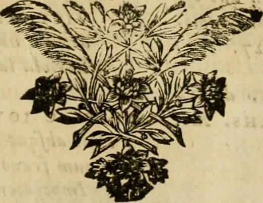 An illustration from Historia Byzantina duplici commentario illustrata : prior, Familias ac stemmata imperatorum constantinopolianorum, cum eorundem augustorum nomismatibus, & aliquot iconibus : praeterea familias dalmaticas & turcicas complecticur : alter, Descriptionem urbis constantinopolitanae, qualis extitit sub imperatoribus christianis, 1680, leaf 68