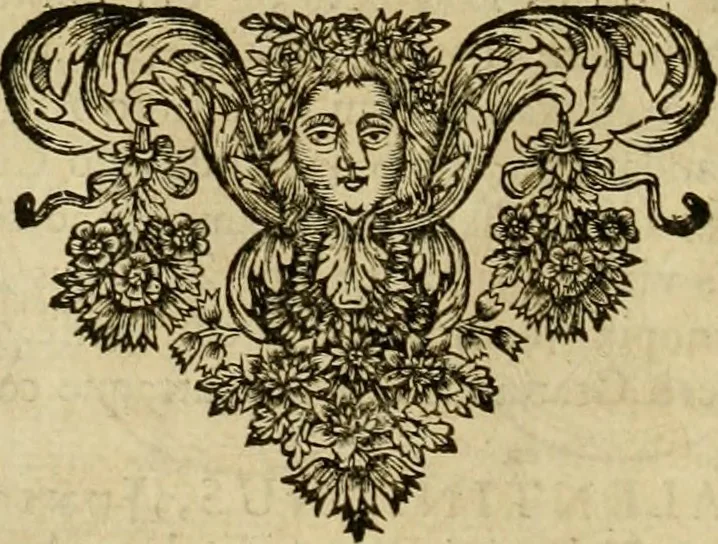 An illustration from Historia Byzantina duplici commentario illustrata : prior, Familias ac stemmata imperatorum constantinopolianorum, cum eorundem augustorum nomismatibus, & aliquot iconibus : praeterea familias dalmaticas & turcicas complecticur : alter, Descriptionem urbis constantinopolitanae, qualis extitit sub imperatoribus christianis, 1680, leaf 77