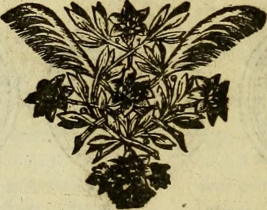 An illustration from Historia Byzantina duplici commentario illustrata : prior, Familias ac stemmata imperatorum constantinopolianorum, cum eorundem augustorum nomismatibus, & aliquot iconibus : praeterea familias dalmaticas & turcicas complecticur : alter, Descriptionem urbis constantinopolitanae, qualis extitit sub imperatoribus christianis, 1680, leaf 85