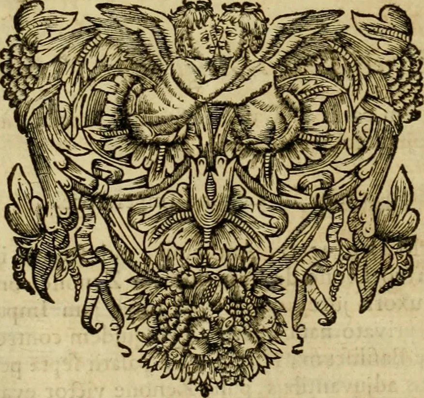 An illustration from Historia Byzantina duplici commentario illustrata : prior, Familias ac stemmata imperatorum constantinopolianorum, cum eorundem augustorum nomismatibus, & aliquot iconibus : praeterea familias dalmaticas & turcicas complecticur : alter, Descriptionem urbis constantinopolitanae, qualis extitit sub imperatoribus christianis, 1680, leaf 97