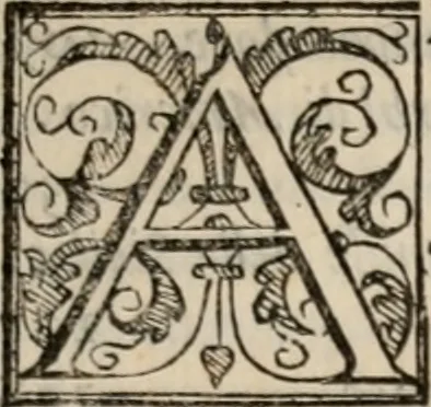 An illustration from Historia degli imperatori Greci descritta da Niceta Acominato da Chone ... in XIX. libri ; li quali seguono, lascia il Zonara, dal M.CXVII. fino al M.CCIII. nel qual tempo si uede la declinatione del Imperio : questi sono aggiunti Gli annali degli Imperatori di Constantinopoli, con l' Historia delle parti dell' Oriente scritta da Haithone ... tradotti in lingua Italiana da M. Ioseppe Horologgi, 1562, leaf 12