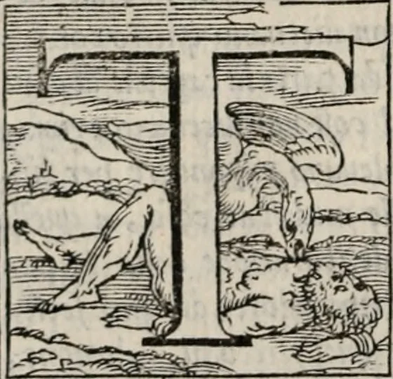 An illustration from Historia degli imperatori Greci descritta da Niceta Acominato da Chone ... in XIX. libri ; li quali seguono, lascia il Zonara, dal M.CXVII. fino al M.CCIII. nel qual tempo si uede la declinatione del Imperio : questi sono aggiunti Gli annali degli Imperatori di Constantinopoli, con l' Historia delle parti dell' Oriente scritta da Haithone ... tradotti in lingua Italiana da M. Ioseppe Horologgi, 1562, leaf 211