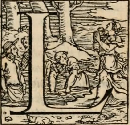 An illustration from Historia degli imperatori Greci descritta da Niceta Acominato da Chone ... in XIX. libri ; li quali seguono, lascia il Zonara, dal M.CXVII. fino al M.CCIII. nel qual tempo si uede la declinatione del Imperio : questi sono aggiunti Gli annali degli Imperatori di Constantinopoli, con l' Historia delle parti dell' Oriente scritta da Haithone ... tradotti in lingua Italiana da M. Ioseppe Horologgi, 1562, leaf 456