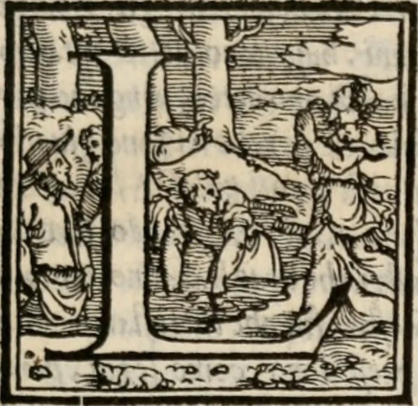 An illustration from Historia degli imperatori Greci descritta da Niceta Acominato da Chone ... in XIX. libri ; li quali seguono, lascia il Zonara, dal M.CXVII. fino al M.CCIII. nel qual tempo si uede la declinatione del Imperio : questi sono aggiunti Gli annali degli Imperatori di Constantinopoli, con l' Historia delle parti dell' Oriente scritta da Haithone ... tradotti in lingua Italiana da M. Ioseppe Horologgi, 1562, leaf 470