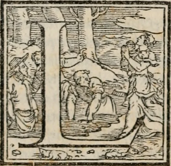 An illustration from Historia degli imperatori Greci descritta da Niceta Acominato da Chone ... in XIX. libri ; li quali seguono, lascia il Zonara, dal M.CXVII. fino al M.CCIII. nel qual tempo si uede la declinatione del Imperio : questi sono aggiunti Gli annali degli Imperatori di Constantinopoli, con l' Historia delle parti dell' Oriente scritta da Haithone ... tradotti in lingua Italiana da M. Ioseppe Horologgi, 1562, leaf 527