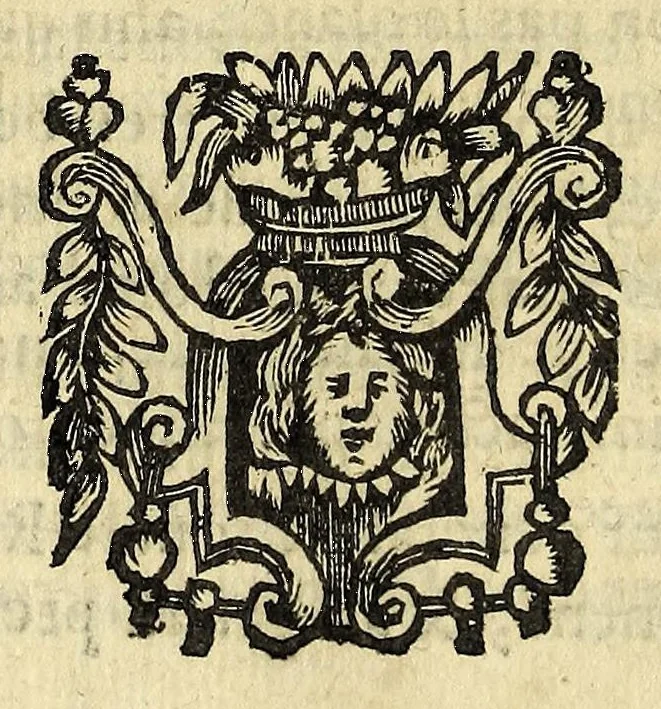 An illustration from Histoire du Peru, partie principale des Antipodes, ou Nouueau Monde. et du grand progrez de la foy chrestienne, en la conuersion de ces peuples gentils ..., 1653, leaf 190
