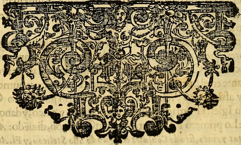 An illustration from Historia de la imperial, nobilissima, inclita, y esclarecida ciudad de Toledo, 1654, leaf 599