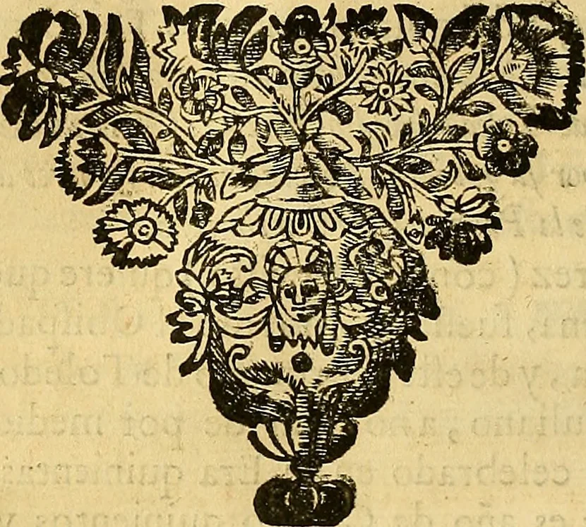 An illustration from Historia de la imperial, nobilissima, inclita, y esclarecida ciudad de Toledo, 1654, leaf 139