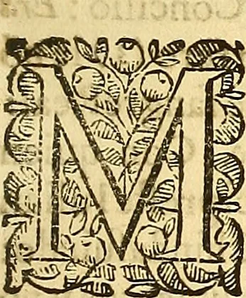 An illustration from Historia de la imperial, nobilissima, inclita, y esclarecida ciudad de Toledo, 1654, leaf 306