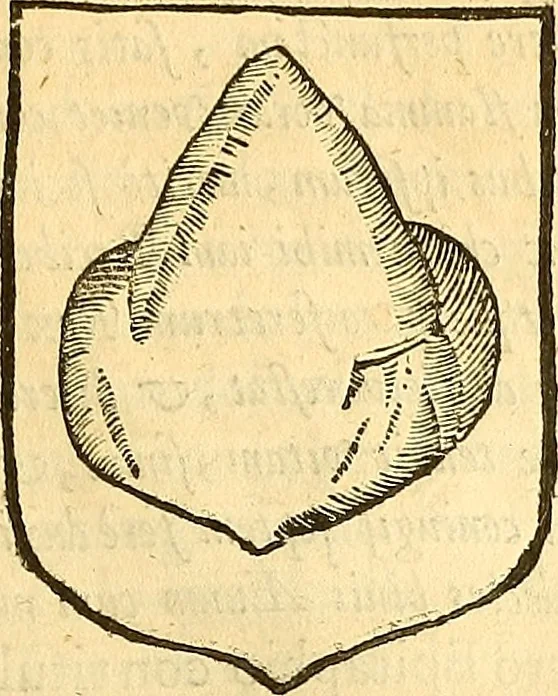 An illustration from Historia de la imperial, nobilissima, inclita, y esclarecida ciudad de Toledo, 1654, leaf 394