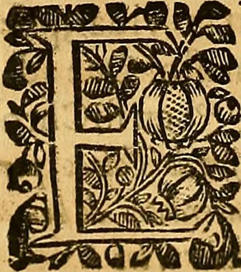 An illustration from Historia de la imperial, nobilissima, inclita, y esclarecida ciudad de Toledo, 1654, leaf 539