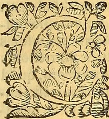 An illustration from Historia de la imperial, nobilissima, inclita, y esclarecida ciudad de Toledo, 1654, leaf 840