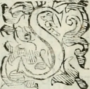 An illustration from Historia de la insigne ciudad de Segovia y conpendio de las historias de Castilla, 1637, leaf 613