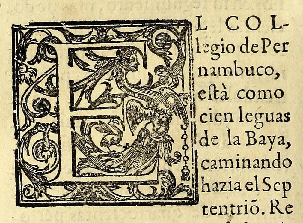 An illustration from Historia de las missiones que han hecho los religiosos de la Compañia de Iesus, para predicar el Sancto Euangelio en la India oriental, y en los reynos de la China y Iapon., 1601, leaf 324