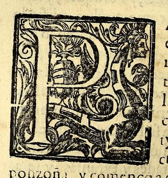 An illustration from Historia de las missiones que han hecho los religiosos de la Compañia de Iesus, para predicar el Sancto Euangelio en la India oriental, y en los reynos de la China y Iapon., 1601, leaf 384