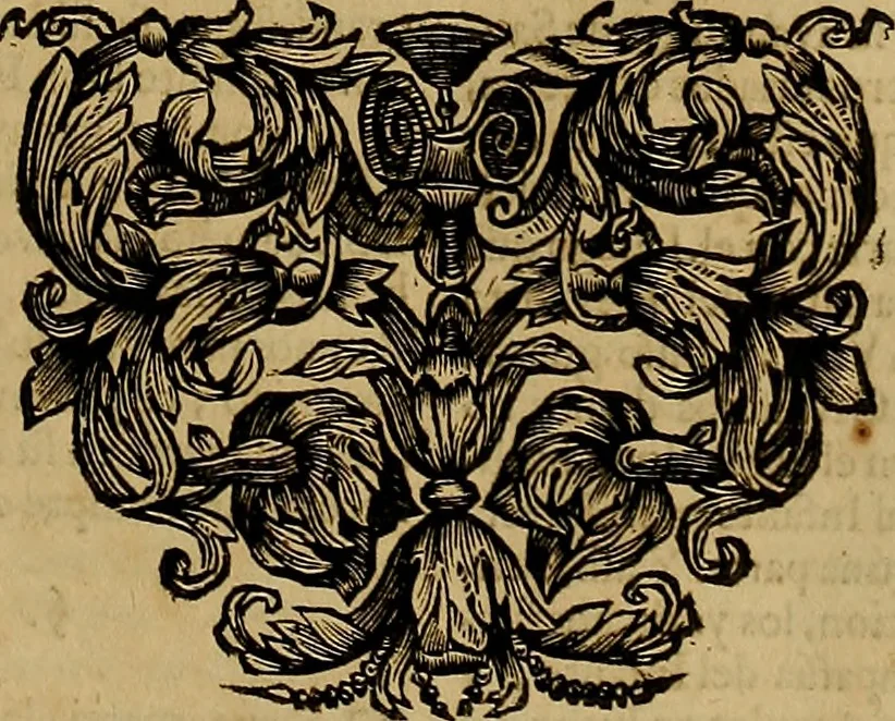 An illustration from Historia de la vida y hechos del emperador Carlos V. maximo : fortissimo, rey catholico de España, y de las Indias, islas, y tierra firme del mar oceano, &c, 1681, leaf 122