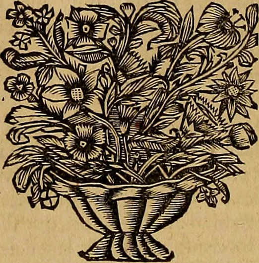 An illustration from Historia de la vida y hechos del emperador Carlos V. maximo : fortissimo, rey catholico de España, y de las Indias, islas, y tierra firme del mar oceano, &c, 1681, leaf 163