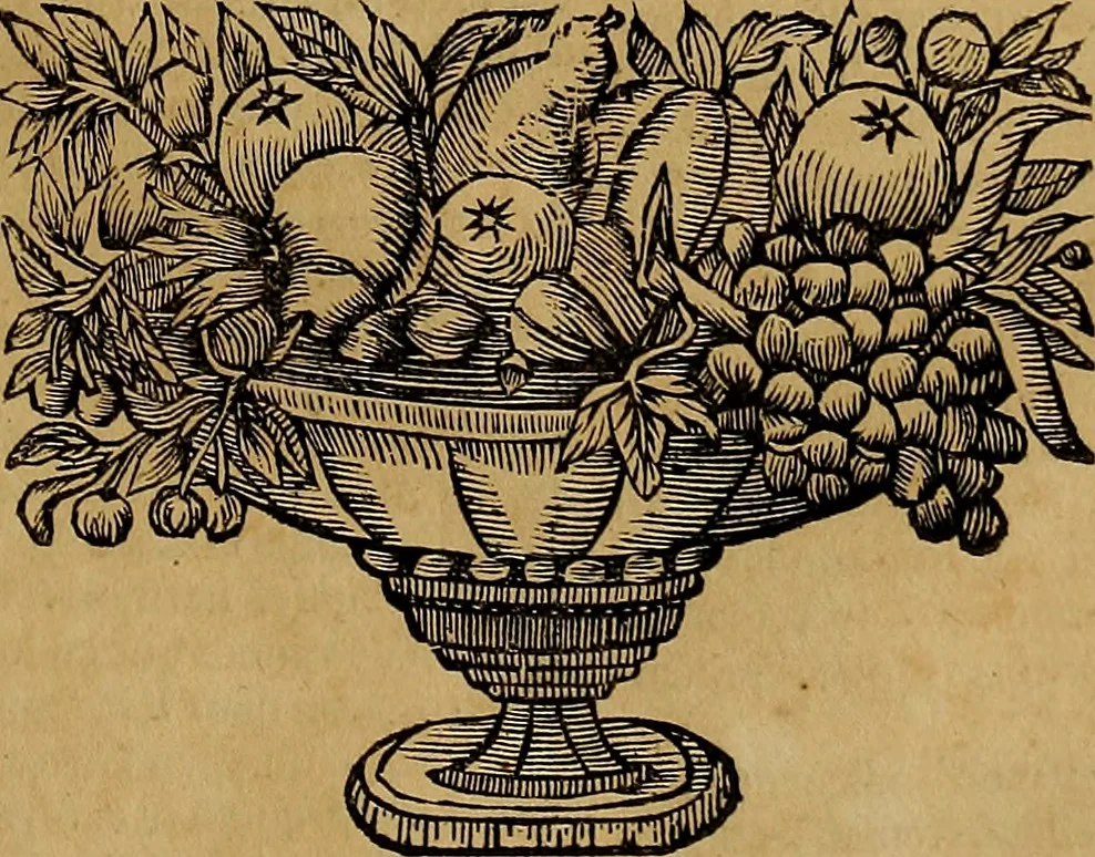 An illustration from Historia de la vida y hechos del emperador Carlos V. maximo : fortissimo, rey catholico de España, y de las Indias, islas, y tierra firme del mar oceano, &c, 1681, leaf 190