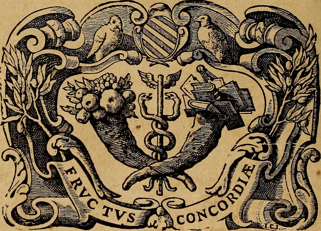 An illustration from Historia de la vida y hechos del emperador Carlos V. maximo : fortissimo, rey catholico de España, y de las Indias, islas, y tierra firme del mar oceano, &c, 1681, leaf 29