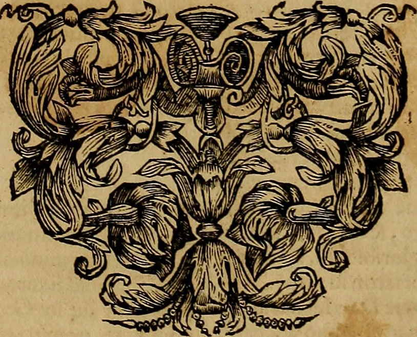 An illustration from Historia de la vida y hechos del emperador Carlos V. maximo : fortissimo, rey catholico de España, y de las Indias, islas, y tierra firme del mar oceano, &c, 1681, leaf 386