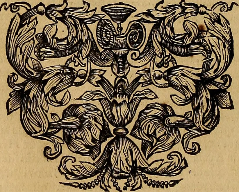 An illustration from Historia de la vida y hechos del emperador Carlos V. maximo : fortissimo, rey catholico de España, y de las Indias, islas, y tierra firme del mar oceano, &c, 1681, leaf 423