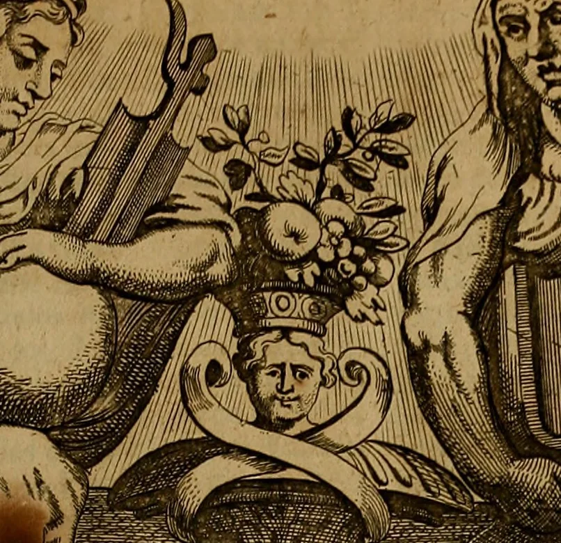 An illustration from Historia de la vida y hechos del emperador Carlos V. maximo : fortissimo, rey catholico de España, y de las Indias, islas, y tierra firme del mar oceano, &c, 1681, leaf 496