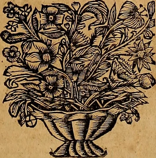 An illustration from Historia de la vida y hechos del emperador Carlos V. maximo : fortissimo, rey catholico de España, y de las Indias, islas, y tierra firme del mar oceano, &c, 1681, leaf 170
