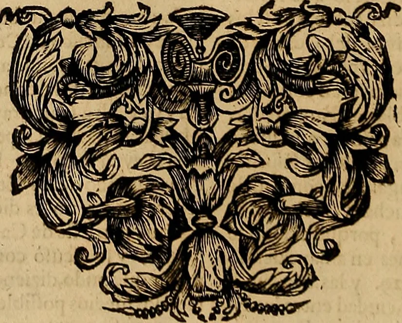 An illustration from Historia de la vida y hechos del emperador Carlos V. maximo : fortissimo, rey catholico de España, y de las Indias, islas, y tierra firme del mar oceano, &c, 1681, leaf 55
