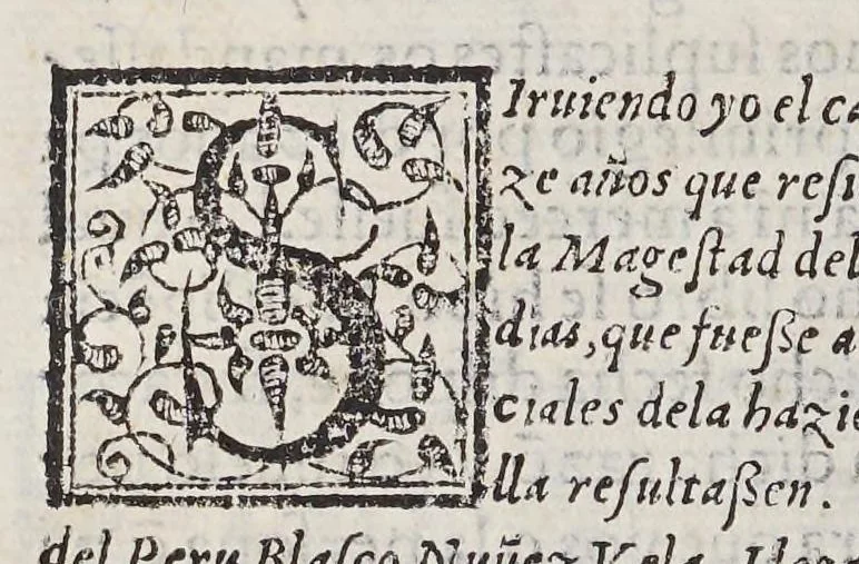An illustration from Historia del descubrimiento y conquista de las prouincias del Peru, : y de los successos que en ella ha auido, desde que se conquistò, hasta que el licenciado de la Gasca obispo de Siguença boluio a estos reynos: y de las cosas naturales que en la dicha prouincia se hallan dignas de memoria., 1578, leaf 10