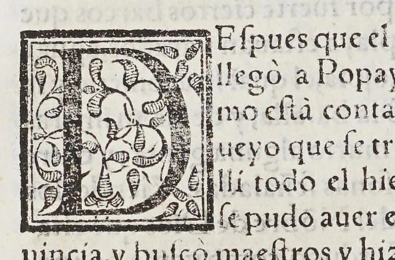 An illustration from Historia del descubrimiento y conquista de las prouincias del Peru, : y de los successos que en ella ha auido, desde que se conquistò, hasta que el licenciado de la Gasca obispo de Siguença boluio a estos reynos: y de las cosas naturales que en la dicha prouincia se hallan dignas de memoria., 1578, leaf 172