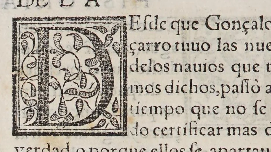An illustration from Historia del descubrimiento y conquista de las prouincias del Peru, : y de los successos que en ella ha auido, desde que se conquistò, hasta que el licenciado de la Gasca obispo de Siguença boluio a estos reynos: y de las cosas naturales que en la dicha prouincia se hallan dignas de memoria., 1578, leaf 204