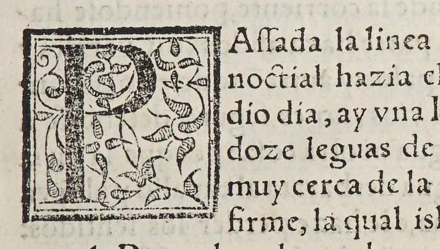 An illustration from Historia del descubrimiento y conquista de las prouincias del Peru, : y de los successos que en ella ha auido, desde que se conquistò, hasta que el licenciado de la Gasca obispo de Siguença boluio a estos reynos: y de las cosas naturales que en la dicha prouincia se hallan dignas de memoria., 1578, leaf 21