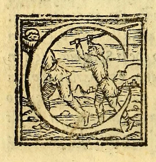 An illustration from Historia del illustriss. et ualorosiss. capitano don Ferdinando Cortes marchese della ualle, et quando discoperse, et acquisto la Nuoua Hispagna., 1556, leaf 124