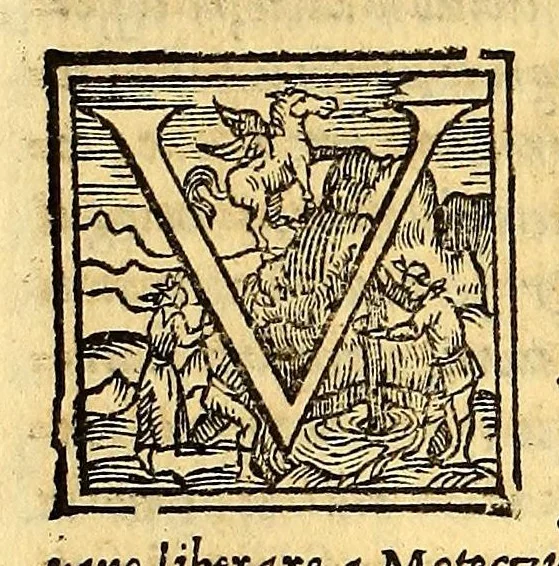 An illustration from Historia del illustriss. et ualorosiss. capitano don Ferdinando Cortes marchese della ualle, et quando discoperse, et acquisto la Nuoua Hispagna., 1556, leaf 224