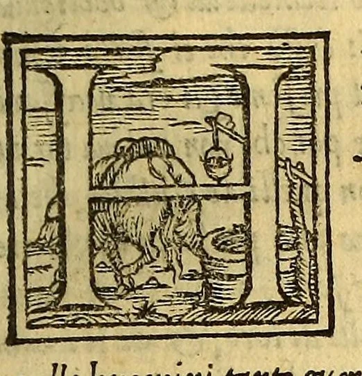 An illustration from Historia del illustriss. et ualorosiss. capitano don Ferdinando Cortes marchese della ualle, et quando discoperse, et acquisto la Nuoua Hispagna., 1556, leaf 243