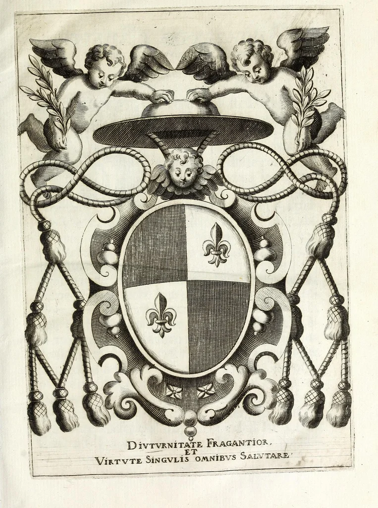 An illustration from Historia della città di Feltre, 1673, leaf 11