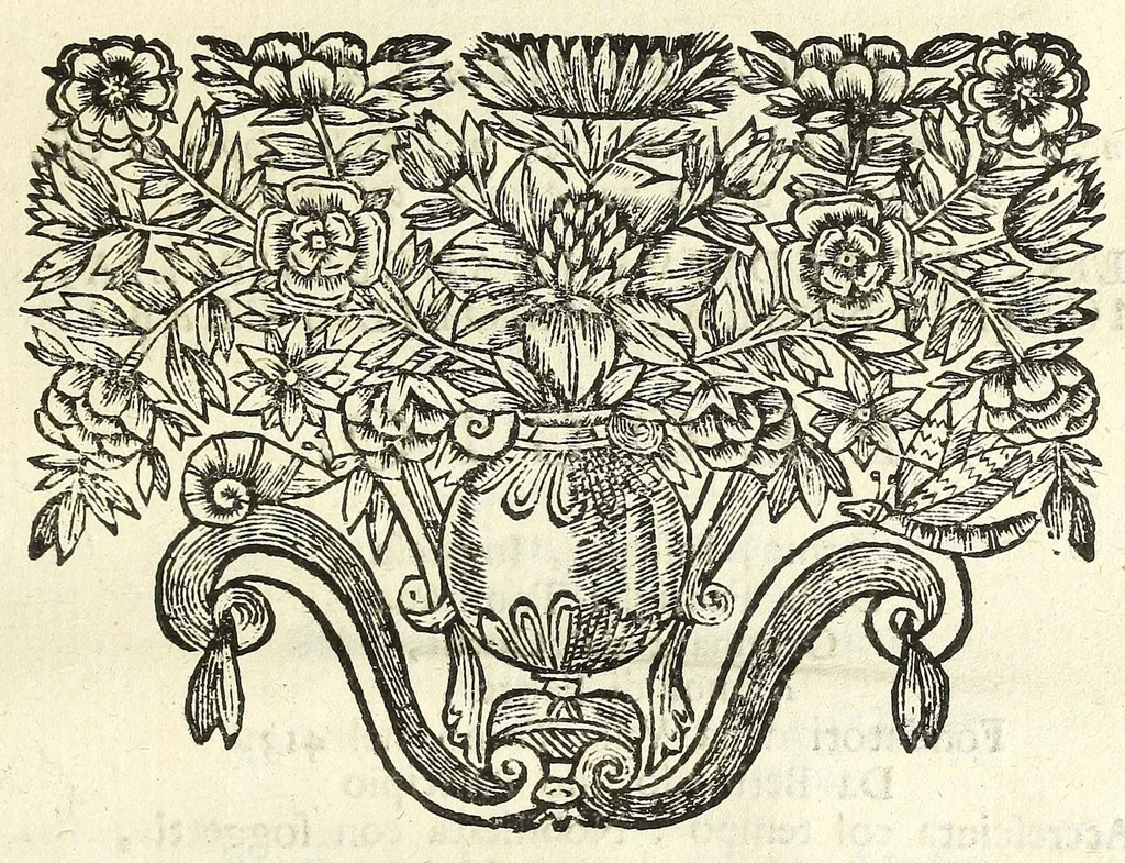 An illustration from Historia della città di Feltre, 1673, leaf 195