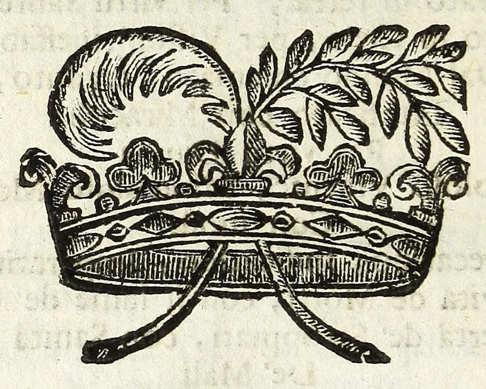 An illustration from Historia della città di Feltre, 1673, leaf 202