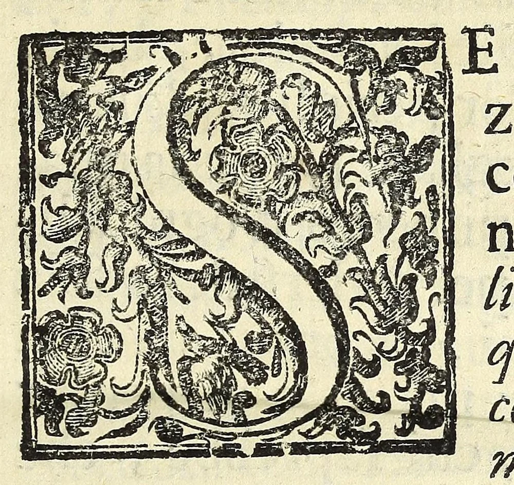 An illustration from Historia della città di Feltre, 1673, leaf 21
