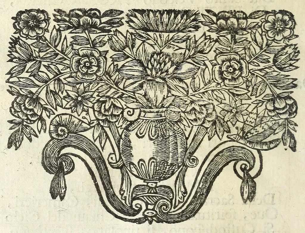 An illustration from Historia della città di Feltre, 1673, leaf 34