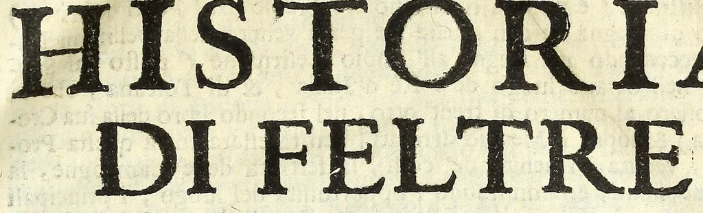 An illustration from Historia della città di Feltre, 1673, leaf 41